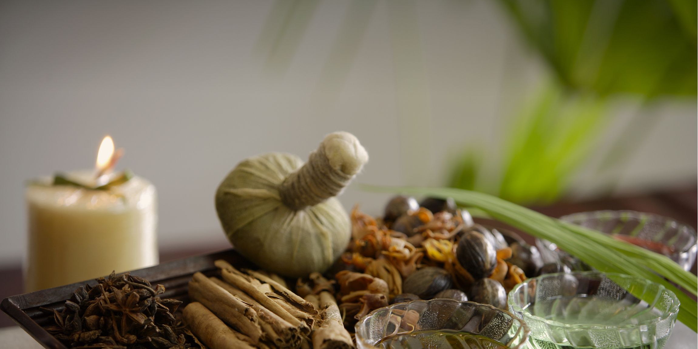 Ayurveda