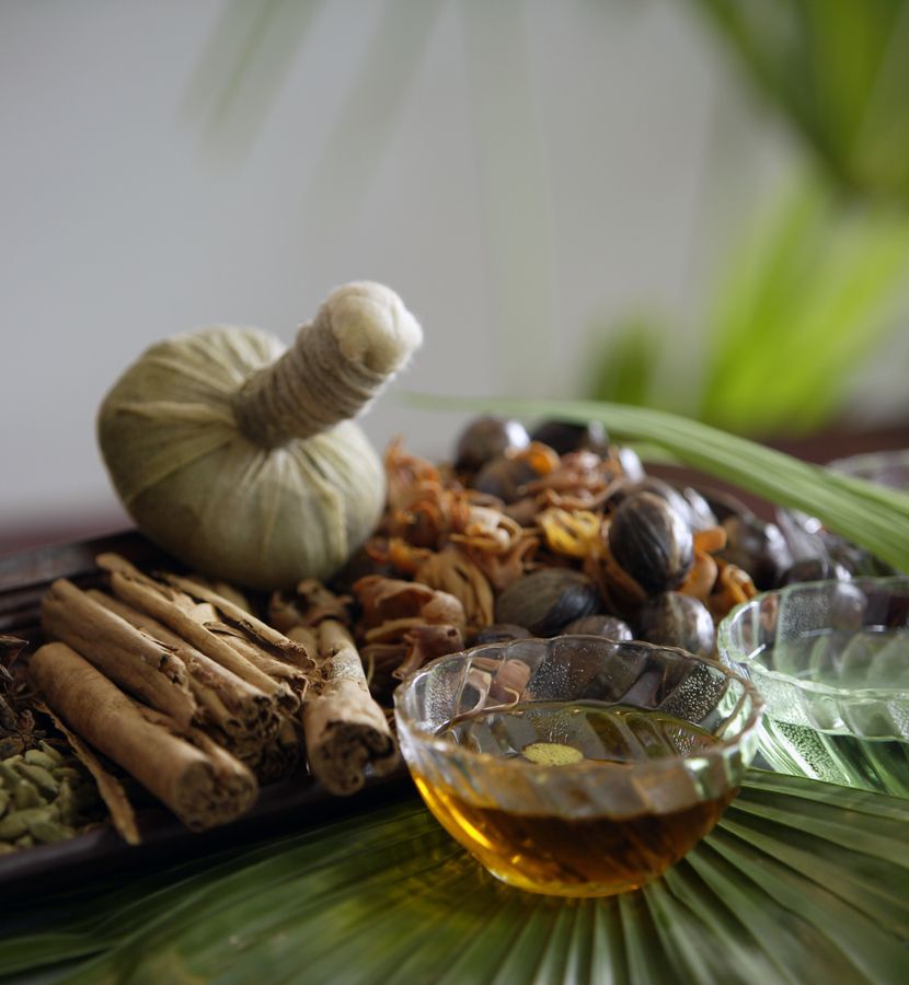 Ayurveda-PraktikerIn